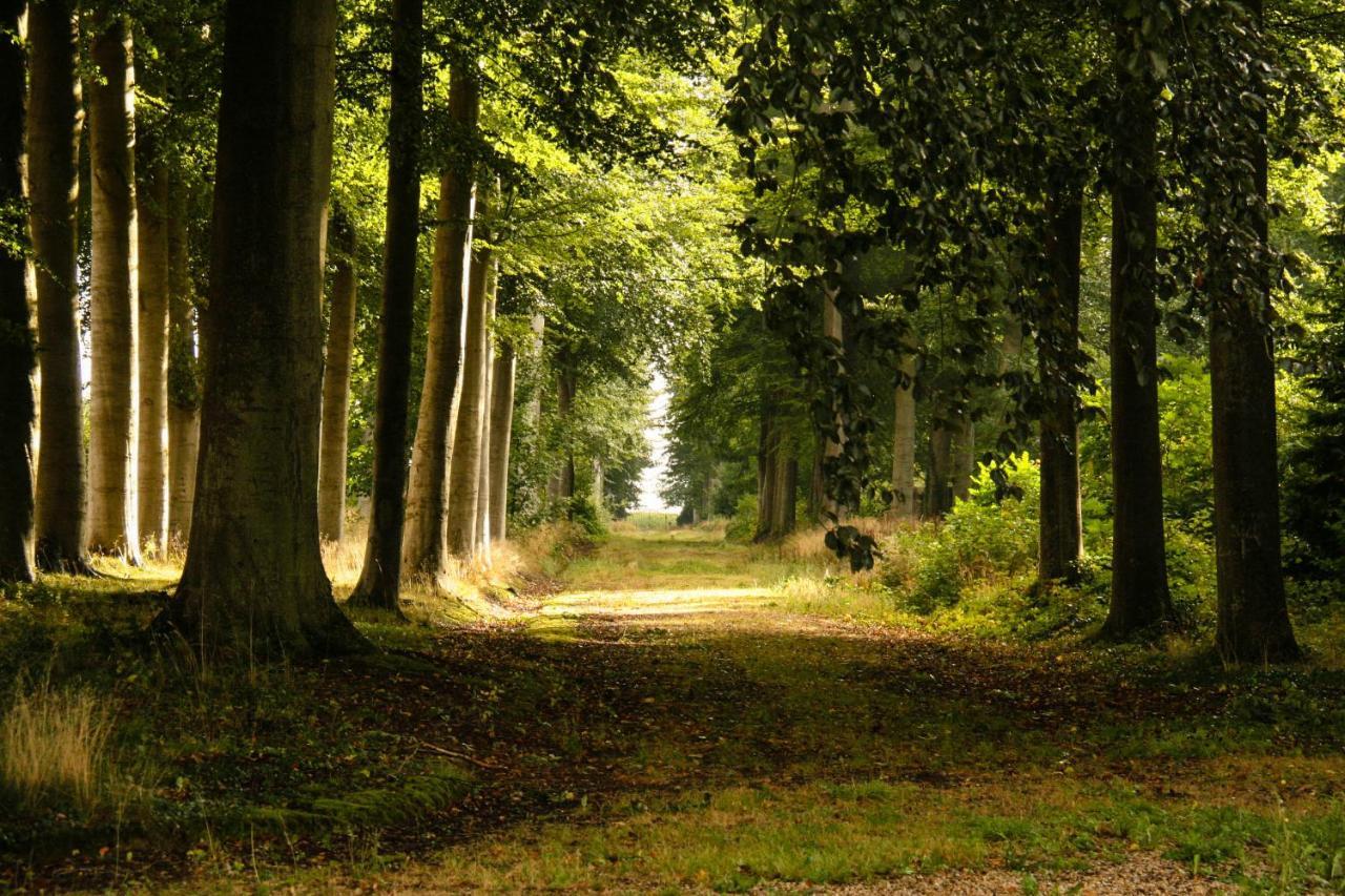 Les Ecuries Du Chateau De Brumare Brestot Kültér fotó